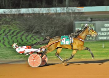 TNT Blue Chip continues explosive win streak