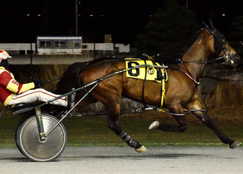 Donatover rebounds to big Rideau win