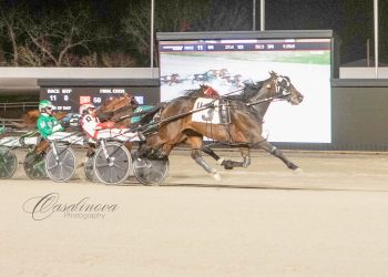 ‘Tiger’ pounces at Northfield