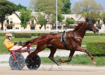 Looking towards the great race of Naples