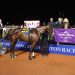 Muscle Hill mare dominant in Listed Sires Stakes Aged Trotters Classic