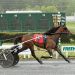 Faraldo and Verruso capture ADHC Trots
