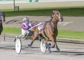Ants is a great chance to Reign Supreme at Melton