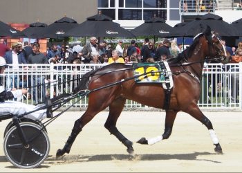 Addington Preview piece + pics