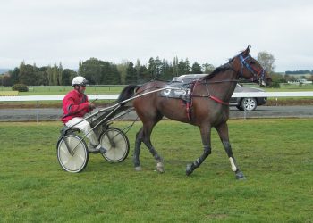 Wyndham Stories + pics and captions