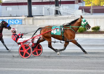 Teague wins six; Crissman, Jr. takes five