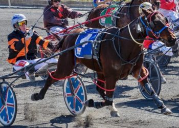 500th race start coming for veteran pacer