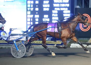 New Holland Series belongs to James MacDonald