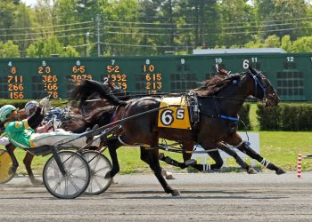 Sheridan strikes again in AHDC Pace