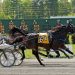 Sheridan strikes again in AHDC Pace