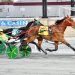 Muscle Dynasty takes Open Trot for 7th score