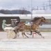Upsets in $19,000 co-features at Northfield Park