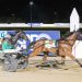 Classy trotter out to land another country cup