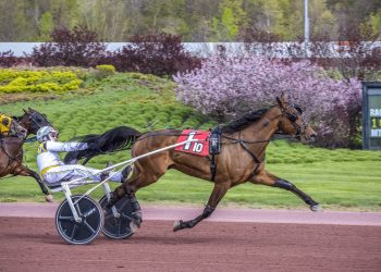 French trotter takes $40,000 Game Of Claims Final