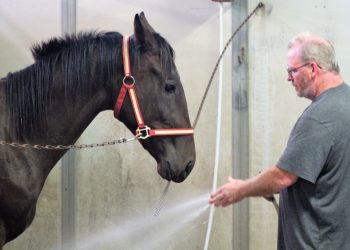 Dougsmonkeybusines looks to stay unbeaten