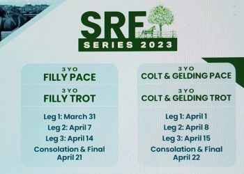 SRF Series Finals seen by Mounted Police