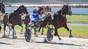 Winning debut helps Court to Timaru double