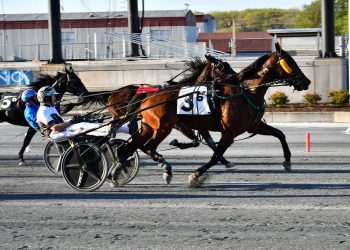 Skyway Bebop wires Open Trot at 12-1