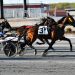 Skyway Bebop wires Open Trot at 12-1