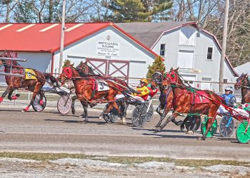 Cumberland has strong cards for opening weekend