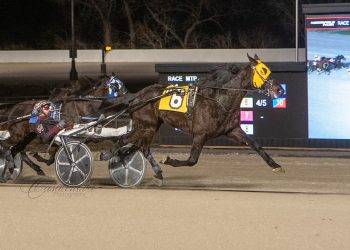 Tequila Talkin keeps it rolling after record performance