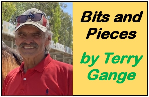 Terry Gange’s Bits and Pieces
