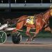 Fields set for $150,000 Camluck Classic, $50,000 Forest City Pace 4 Prelims concluded for MGM Borgata Series