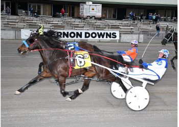 Unusual Clarity digs in late at Vernon Downs