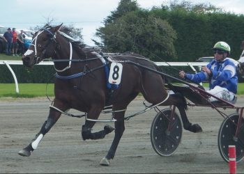 Vessem professional in Diamond Creek Classic