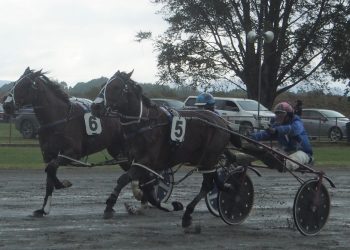 Wyndham Stories + pics and captions