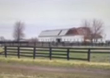 Walker Standardbreds damaged by tornado