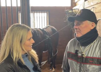 Brett Pelling speaks about his 2023 stable of stars