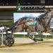 Track record falls in Easter Cup heat