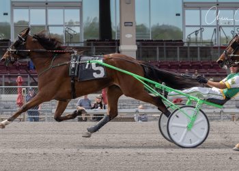 Lifetime mark taken in Provost Memorial leg