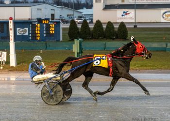 Cr Blazin Beauty handles male rivals in Open Trot