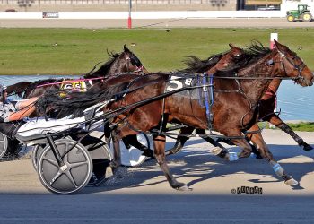 Luther Stable takes all three feature races