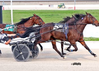 Im Offngone N takes another Mares Open