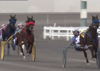 Shark Week goes from last to a five-length winner