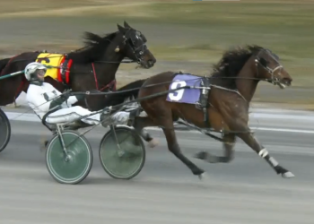 Betterthancheddar filly goes last-to-first at Flamboro