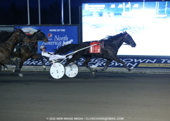 Logan Park perfect in return