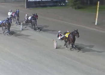 So Frisky tops mares, reaches milestone