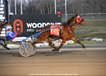 All upsets in Ontario-sired Spring Series