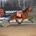 All upsets in Ontario-sired Spring Series