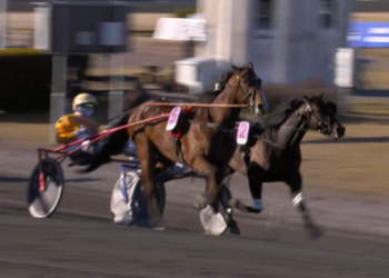 Jimmy Ferro BR battles to Farjestad vicotry