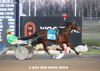 Colts and geldings begin Ontario-sired Spring Series