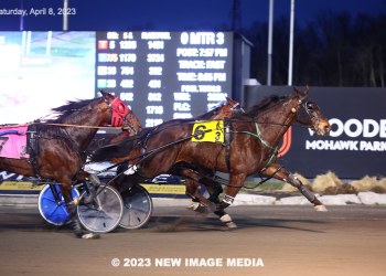 Wheels On Fire dethrones Saulsbrook Victor in $42,000 Free For All