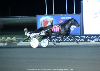 Logan Park two-for-two after $48,000 Free For All win