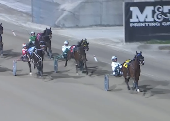 Cheddar Bay back at London victorious