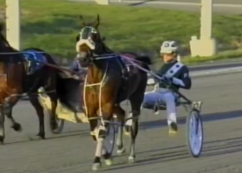 Century Mach back to top level with win