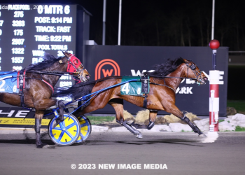 Adare Castle sharp in Ontario Graduate debut